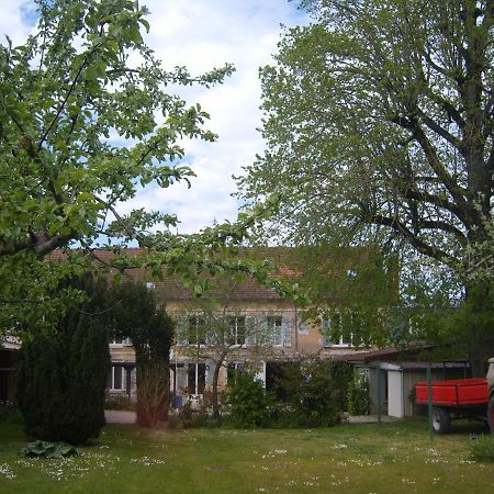 Gite Du Vieux Tilleul Fere-en-Tardenois Bagian luar foto