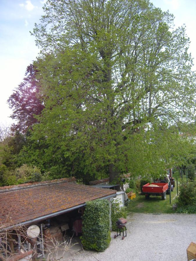 Gite Du Vieux Tilleul Fere-en-Tardenois Bagian luar foto